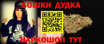 jwh Бийск