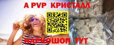 jwh Бийск
