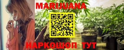 jwh Бийск
